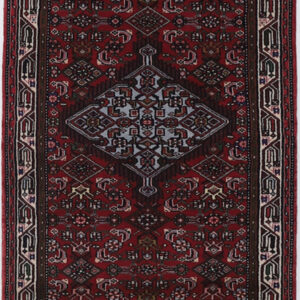 Hamadan Runner 2’9″ x 20’5″ Authentic Persian Rug